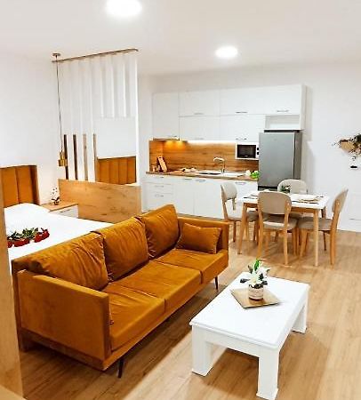 Selvia Apartament ティラナ エクステリア 写真