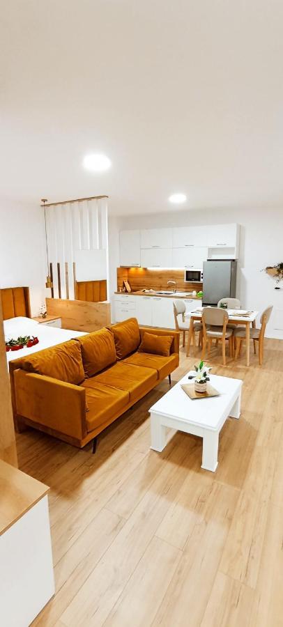 Selvia Apartament ティラナ エクステリア 写真