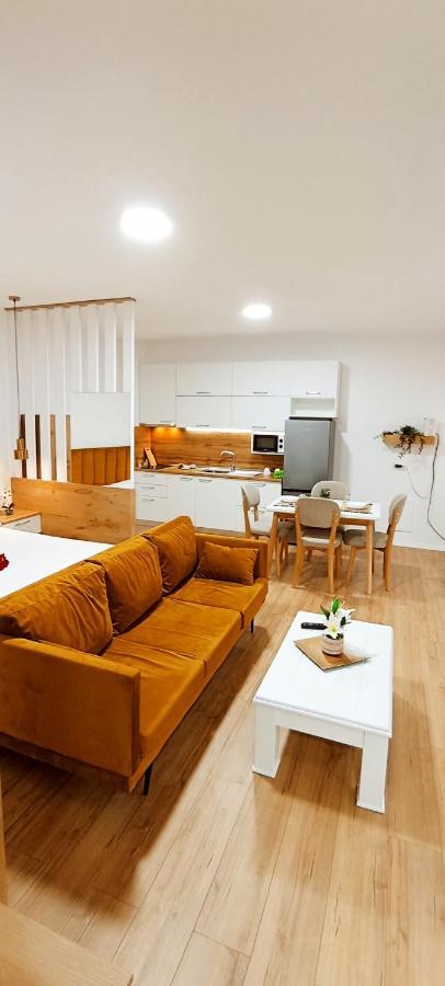 Selvia Apartament ティラナ エクステリア 写真