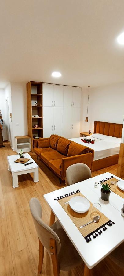 Selvia Apartament ティラナ エクステリア 写真